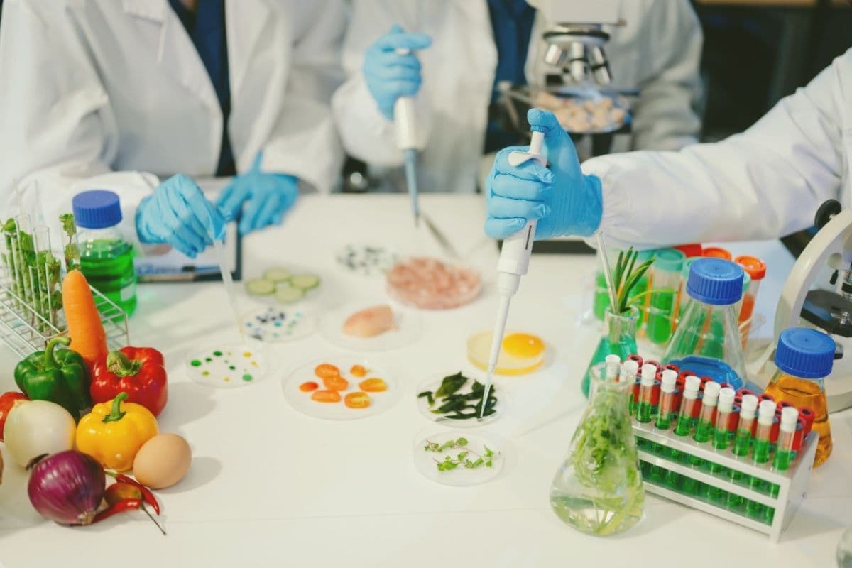 Gıda Takviyesi Üretim Hattı